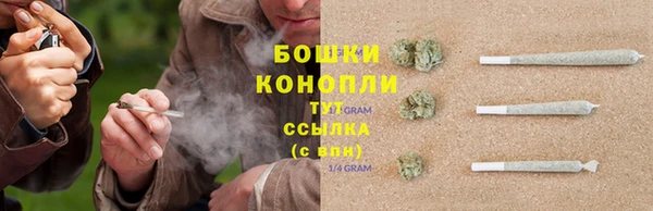 тгк Краснослободск