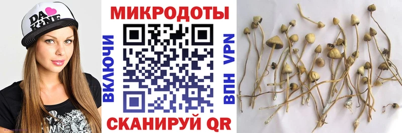Галлюциногенные грибы прущие грибы hydra онион Краснослободск сколько стоит